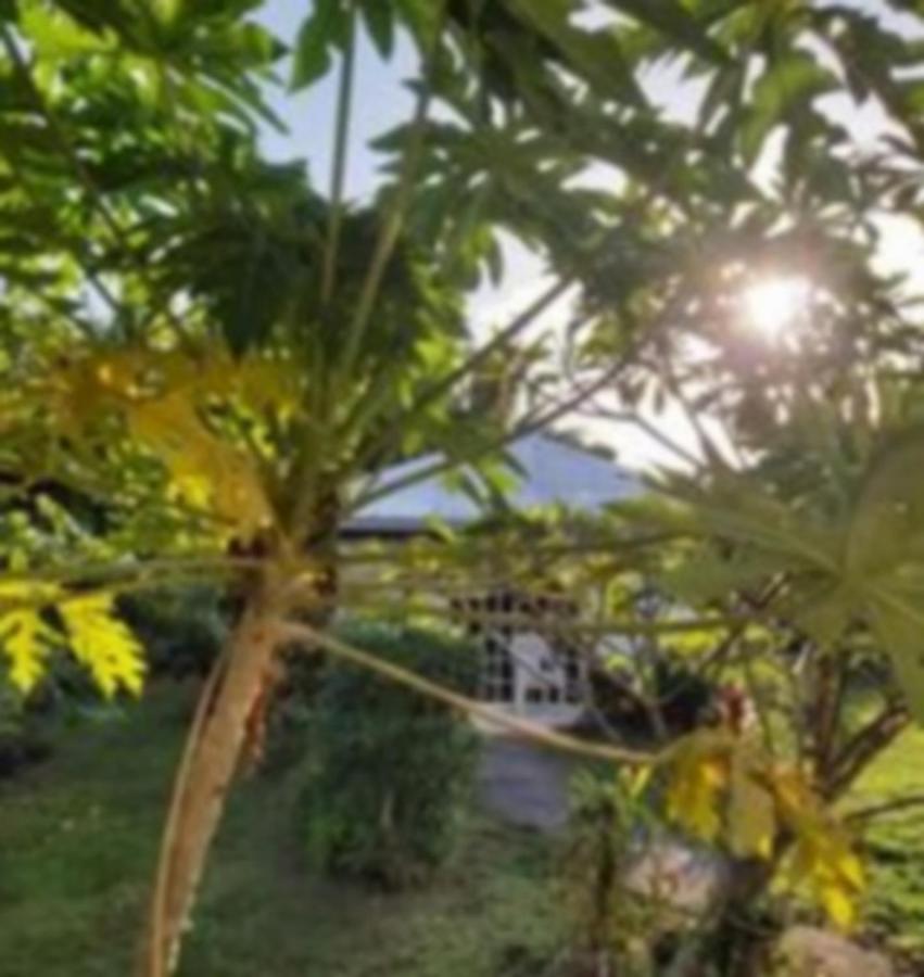 Chez Mimi Et Daniel Villa Bora Bora Exterior photo